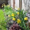 Spring 2019 at 585 W Erie Street